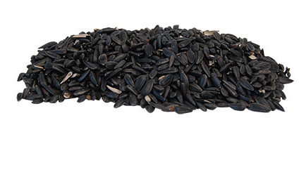 BestNest Black Oil Sunflower Seed
