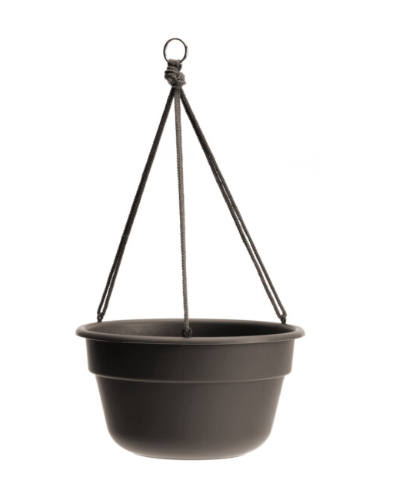 Bloem Dura Cotta Hanging Basket