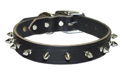 Omni Pets Spiked Latigo Collar