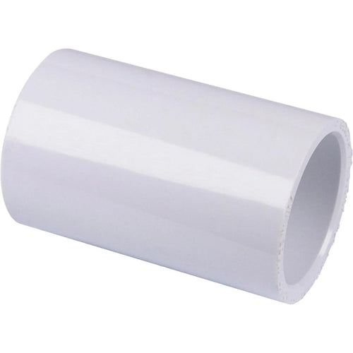 Charlotte Pipe 3/4 In. Sch. 40 PVC Coupling
